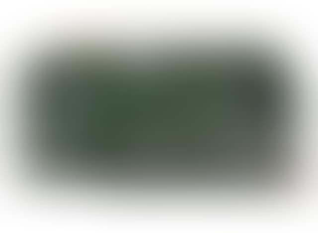Land irregular (preview)