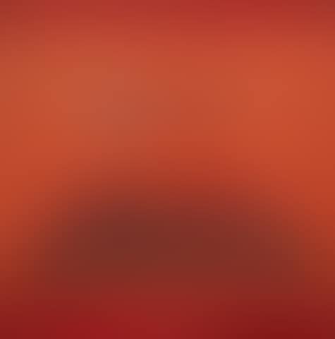 Untitled (Bird, Tree, Mountain series) (preview)