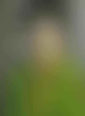 Portrait of Glyn Morgan (preview)