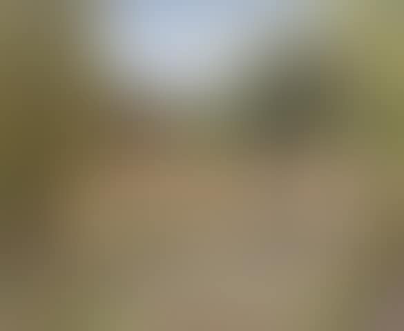 Garden, Benton End (preview)