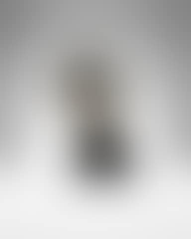 Third Portrait of Meum (preview)