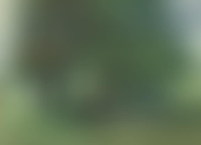Landscape with fence (preview)
