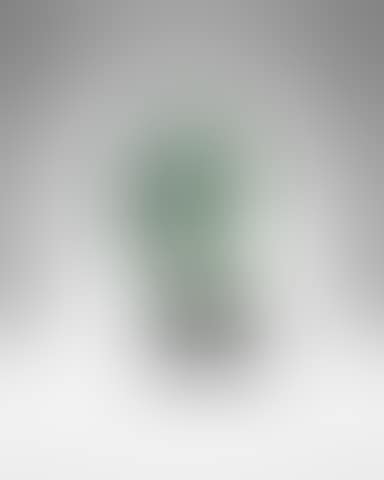 1st Portrait of Dolores (preview)