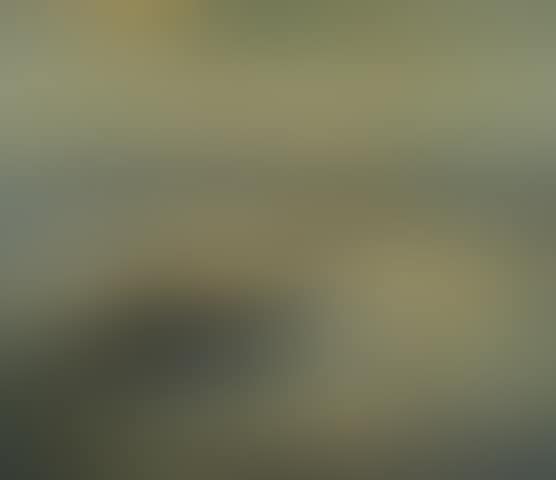 Looking Across the Golden Gate (preview)