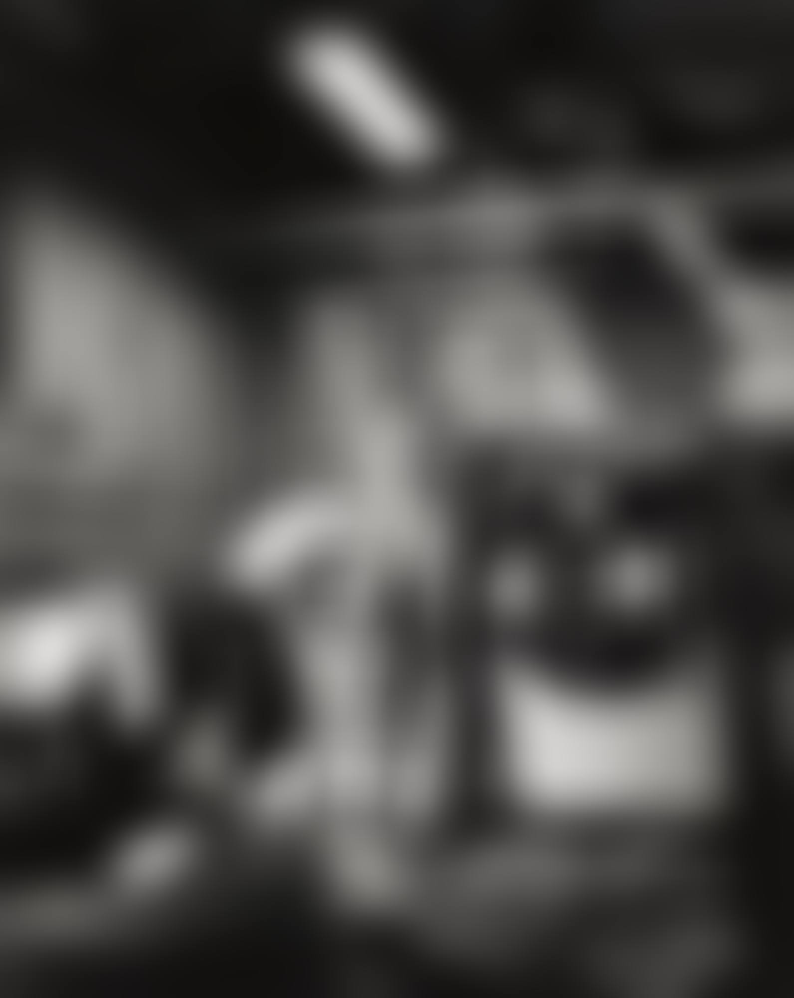 DOMESTIC NUDE III: IN THE LAUNDRY ROOM AT THE CHÂTEAU MARMONT, HOLLYWOOD', 1992 (preview)