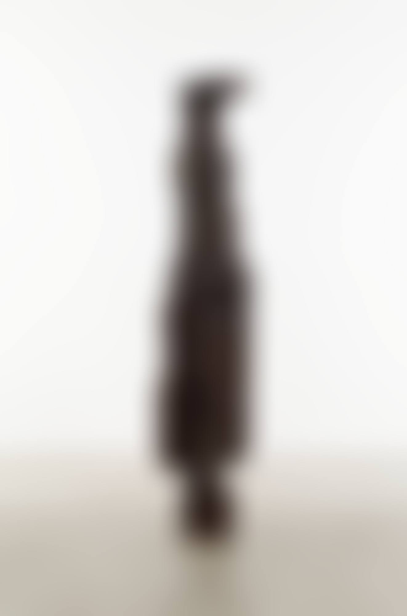 POLE II (preview)