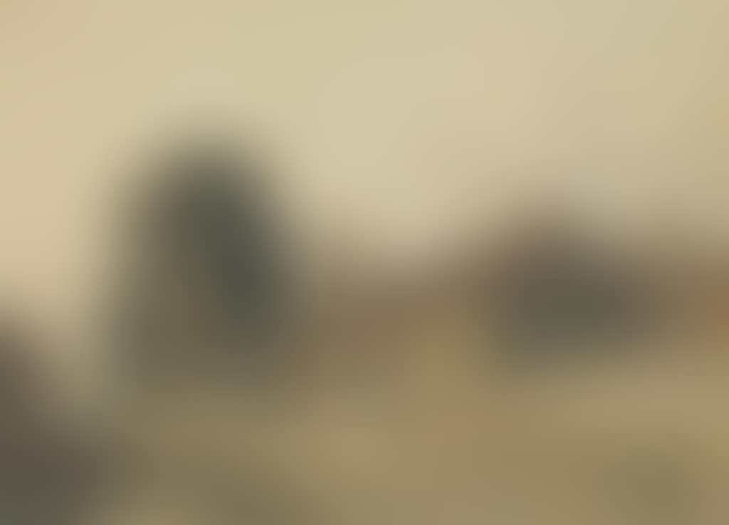 Figures before a farm house (preview)