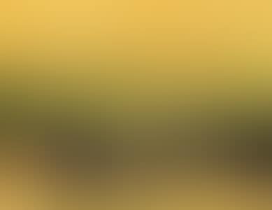 Dusk of Summer (preview)