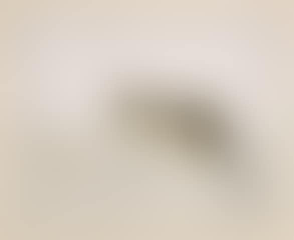 Cat with a Ball, from Les Chats unframed (preview)