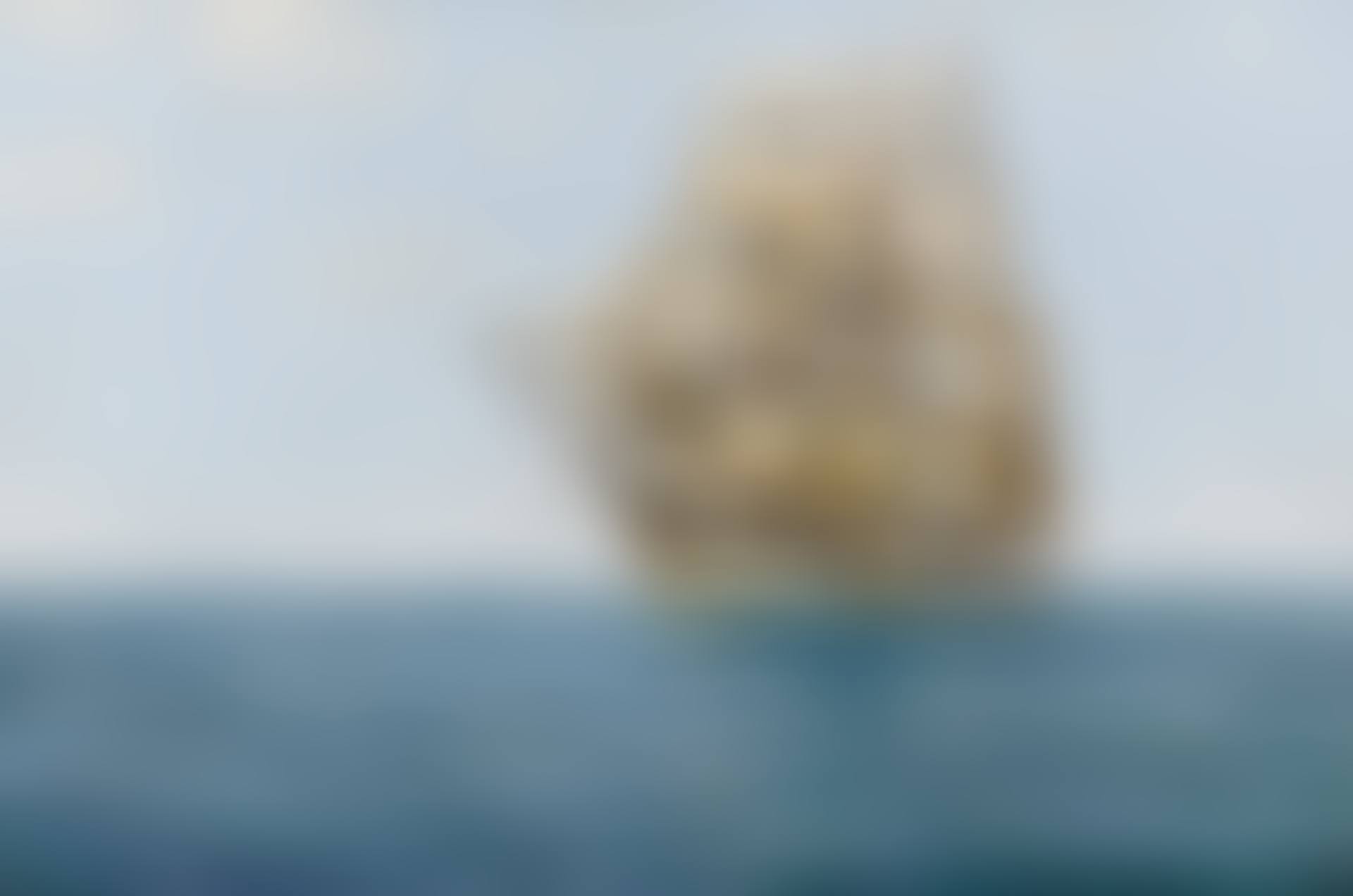 THE COLD WHITE BARQUE (preview)