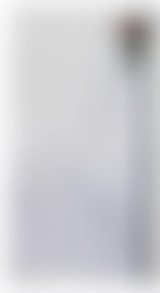 Pappagallo nello zoo (Parrot in the Zoo) (preview)