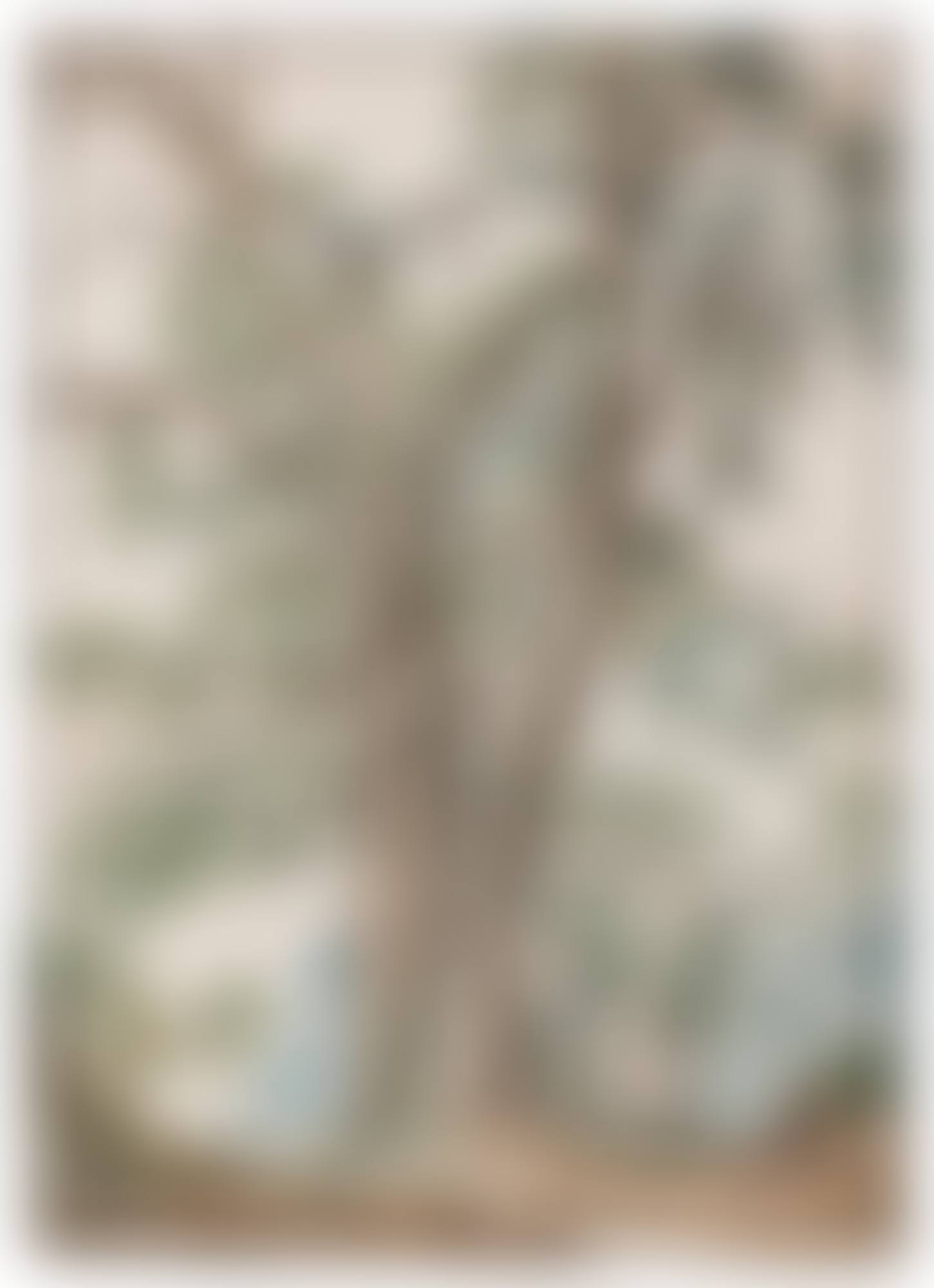 A WOODLAND PATH WITH A VILLAGE IN THE DISTANCE (preview)