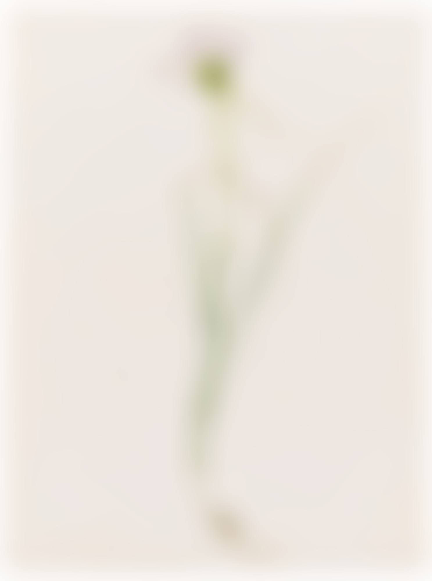 AIL EN CARÈNE (ALLIUM CARINATUM) (preview)