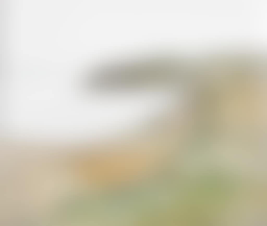 15 Miles Packed Coast (Project for West Coast) (preview)