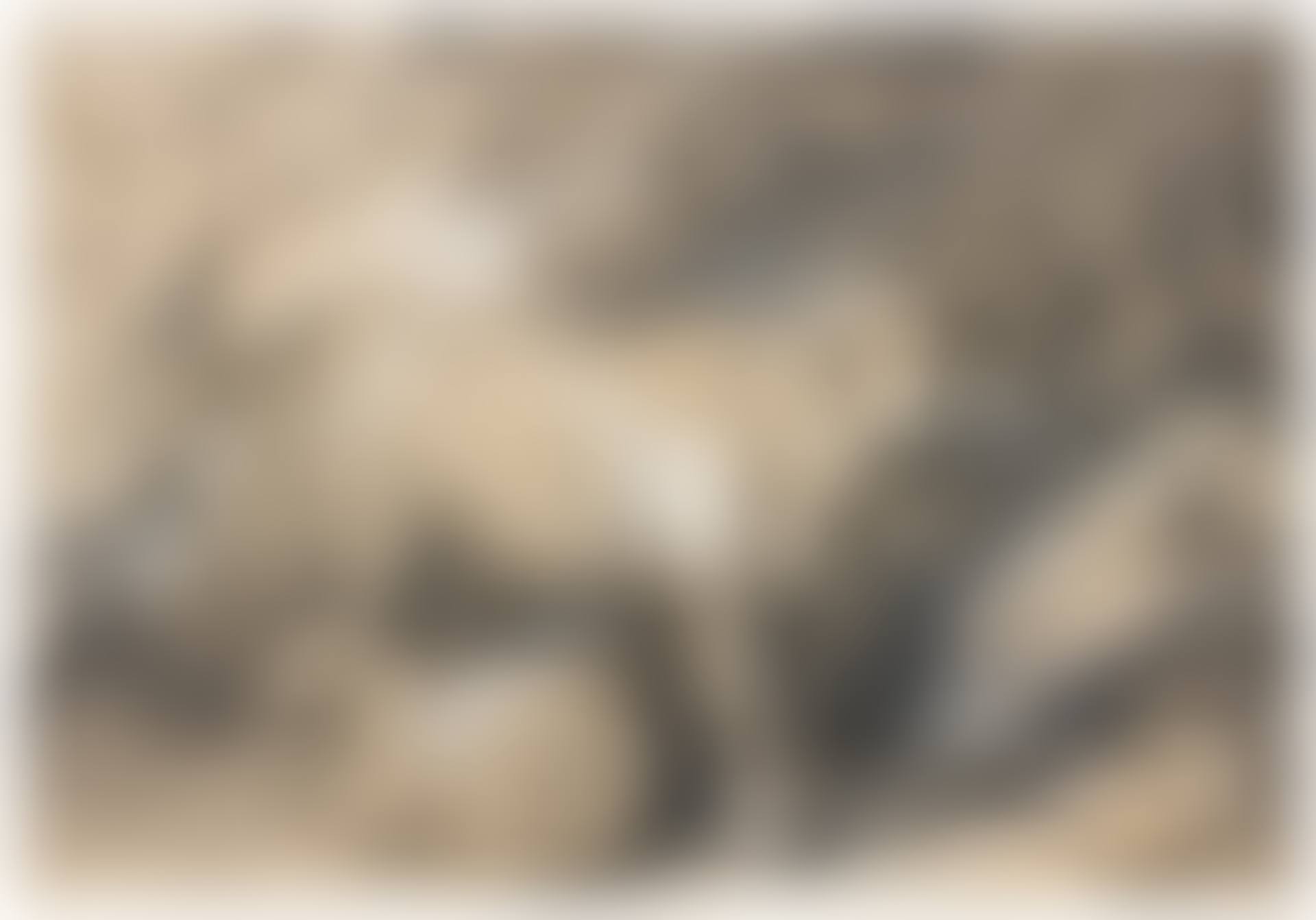 STUDY OF A COW AND SHEEP (preview)