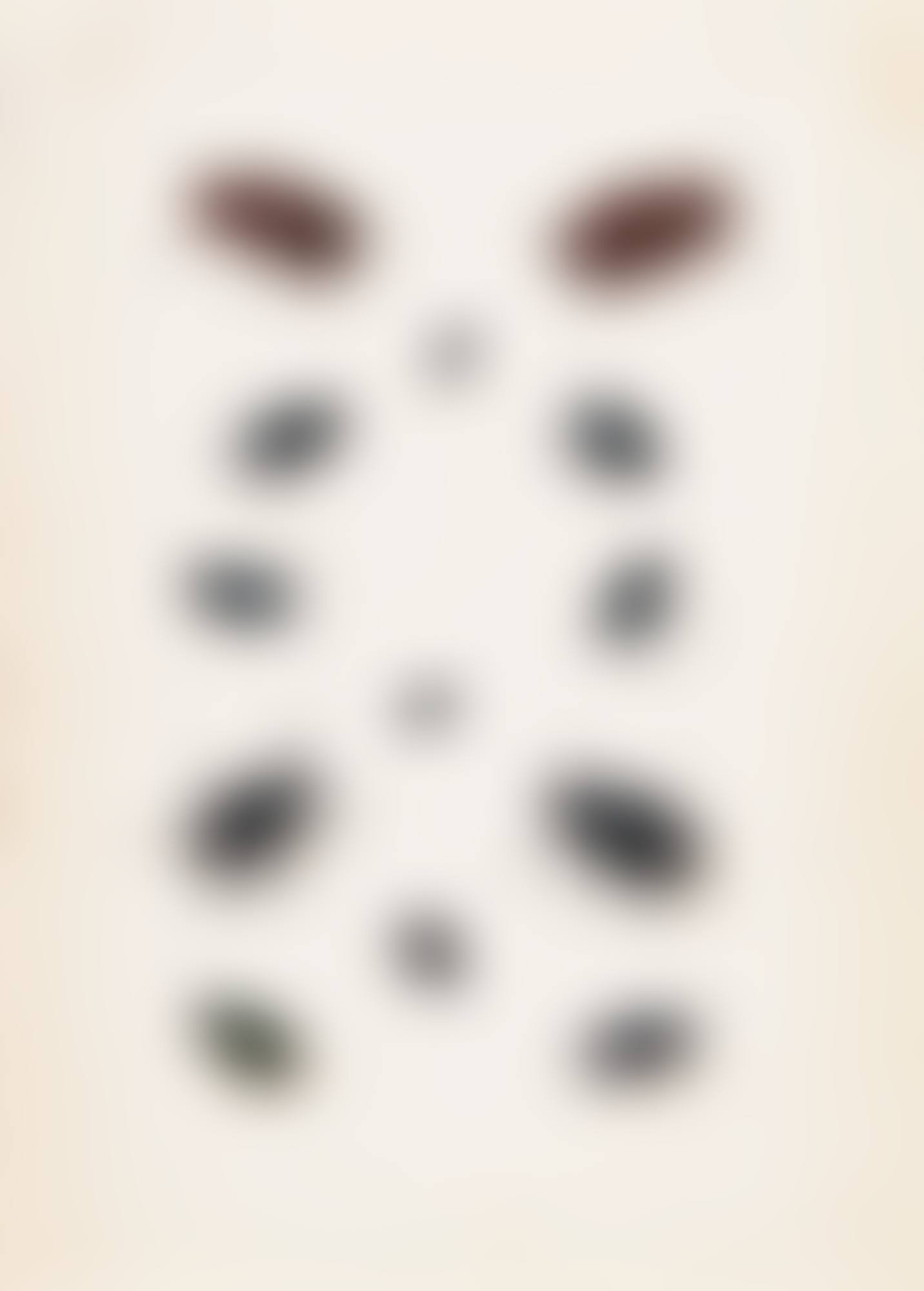 A SHEET OF THIRTEEN STUDIES OF BEETLES (preview)