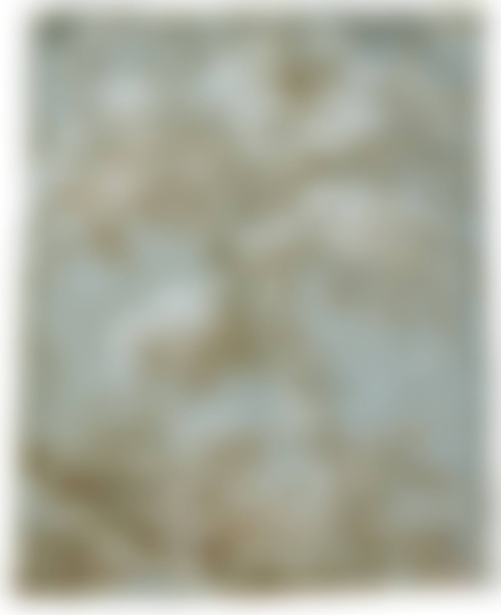 STUDY OF A TREE (preview)