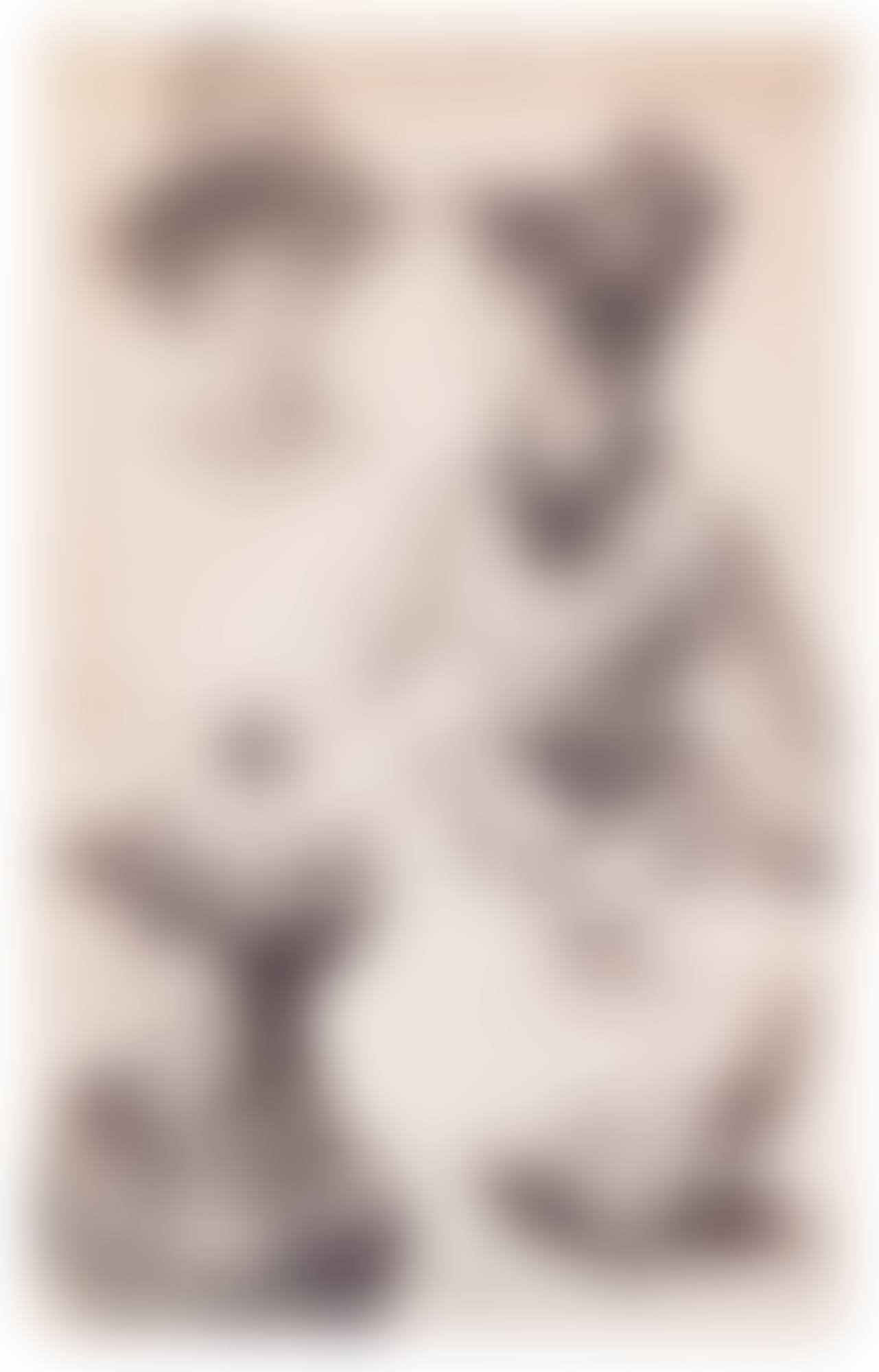 THREE STUDIES OF AN ELEGANT WOMAN AND A LEFT HAND (preview)