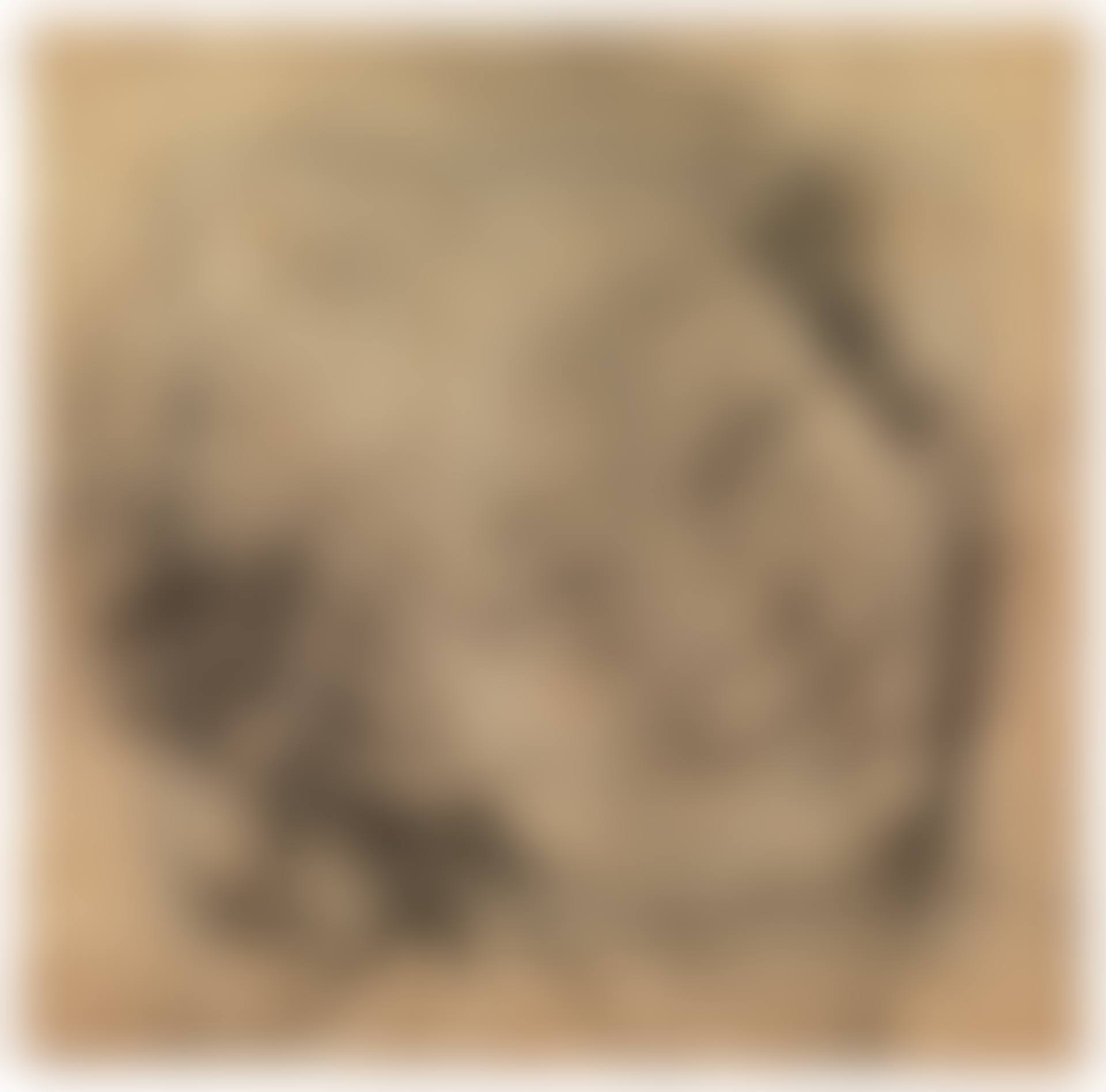 HEAD OF A YOUNG BOY (preview)