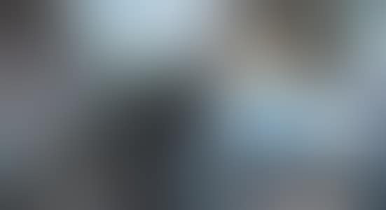 STYLISTIC LANDSCAPE (preview)