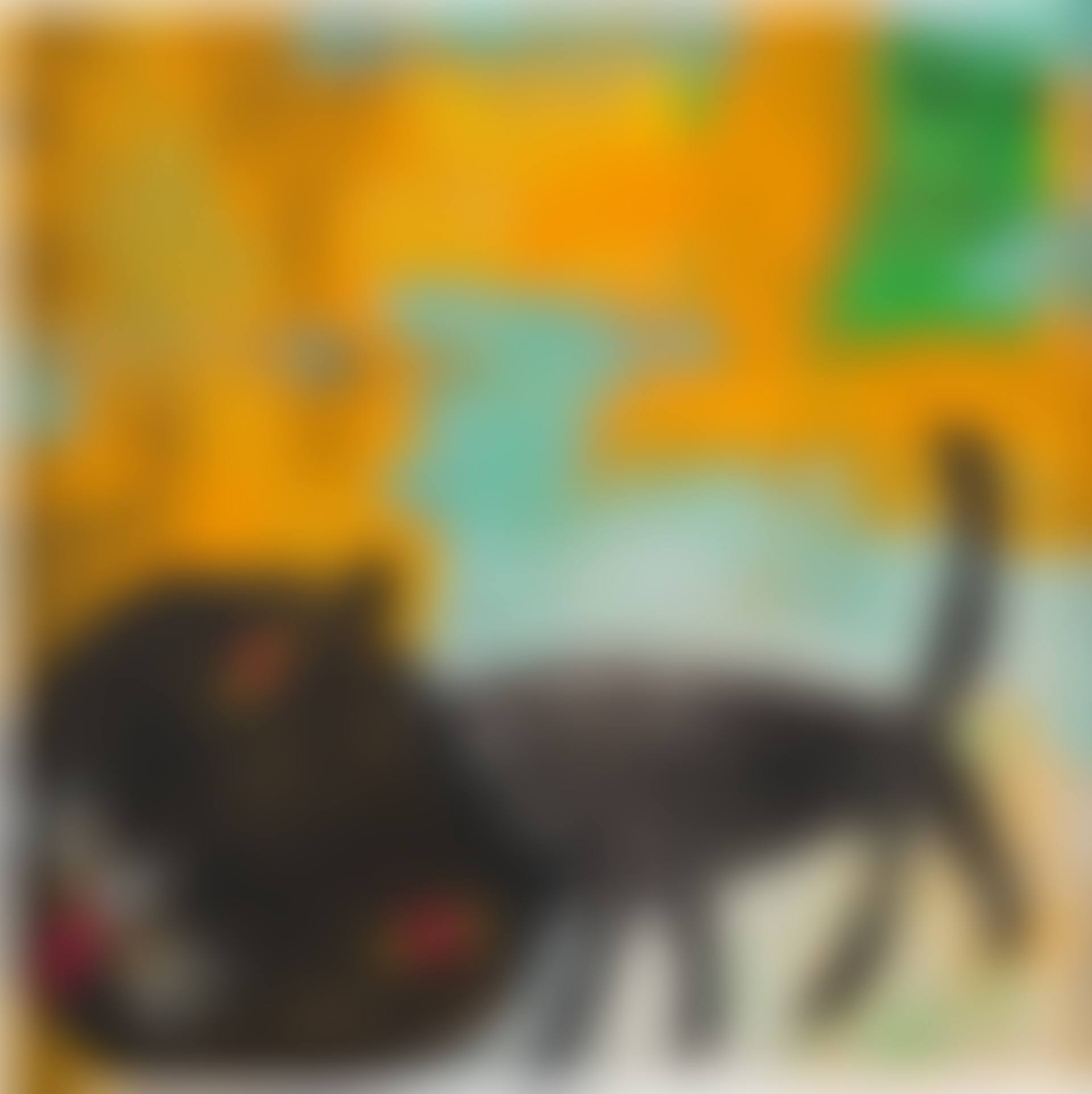 DIE SCHWARTZE CATZE (THE BLACK CAT) (preview)