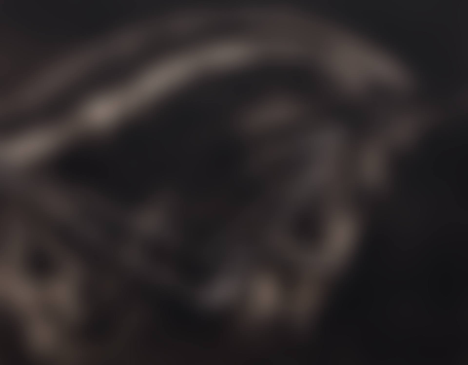 STUDY OF STALLION'S ARC (preview)