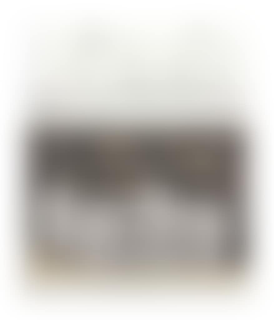 Wrapped Reichstag (project for Berlin) (preview)