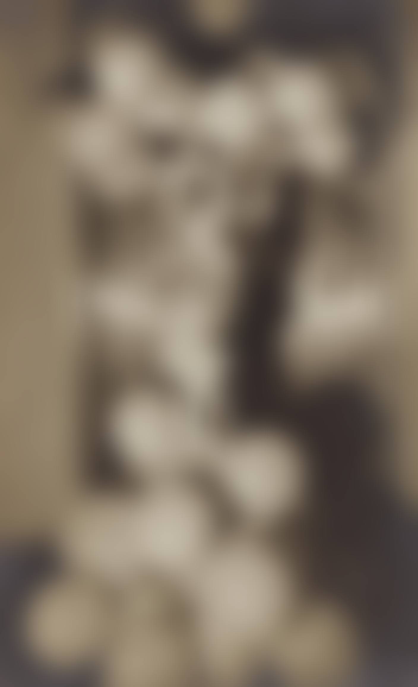 Countess Celani at the Bal Blanc (preview)