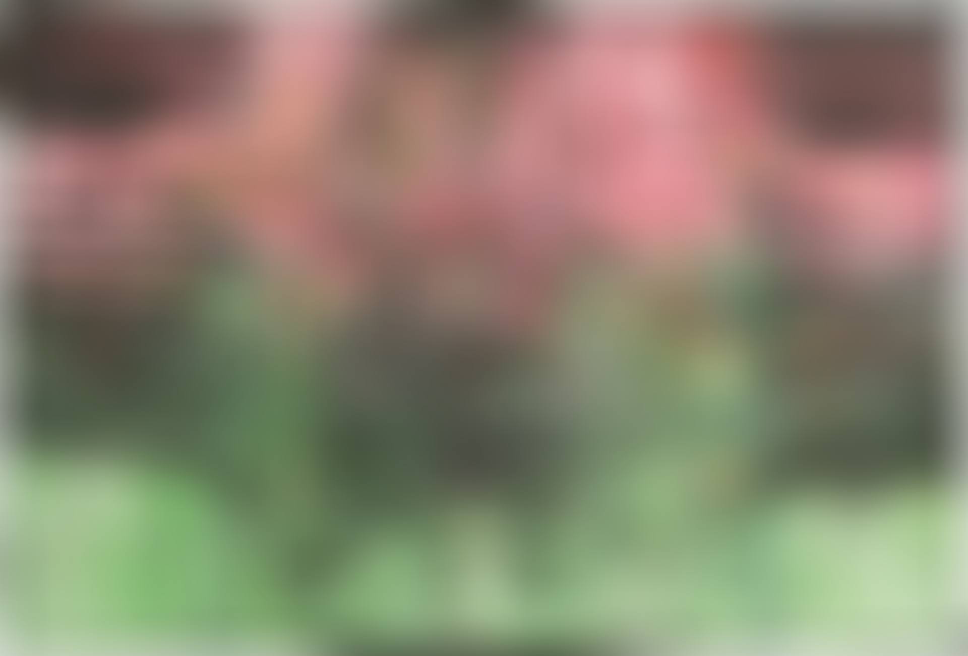 SP33 (preview)