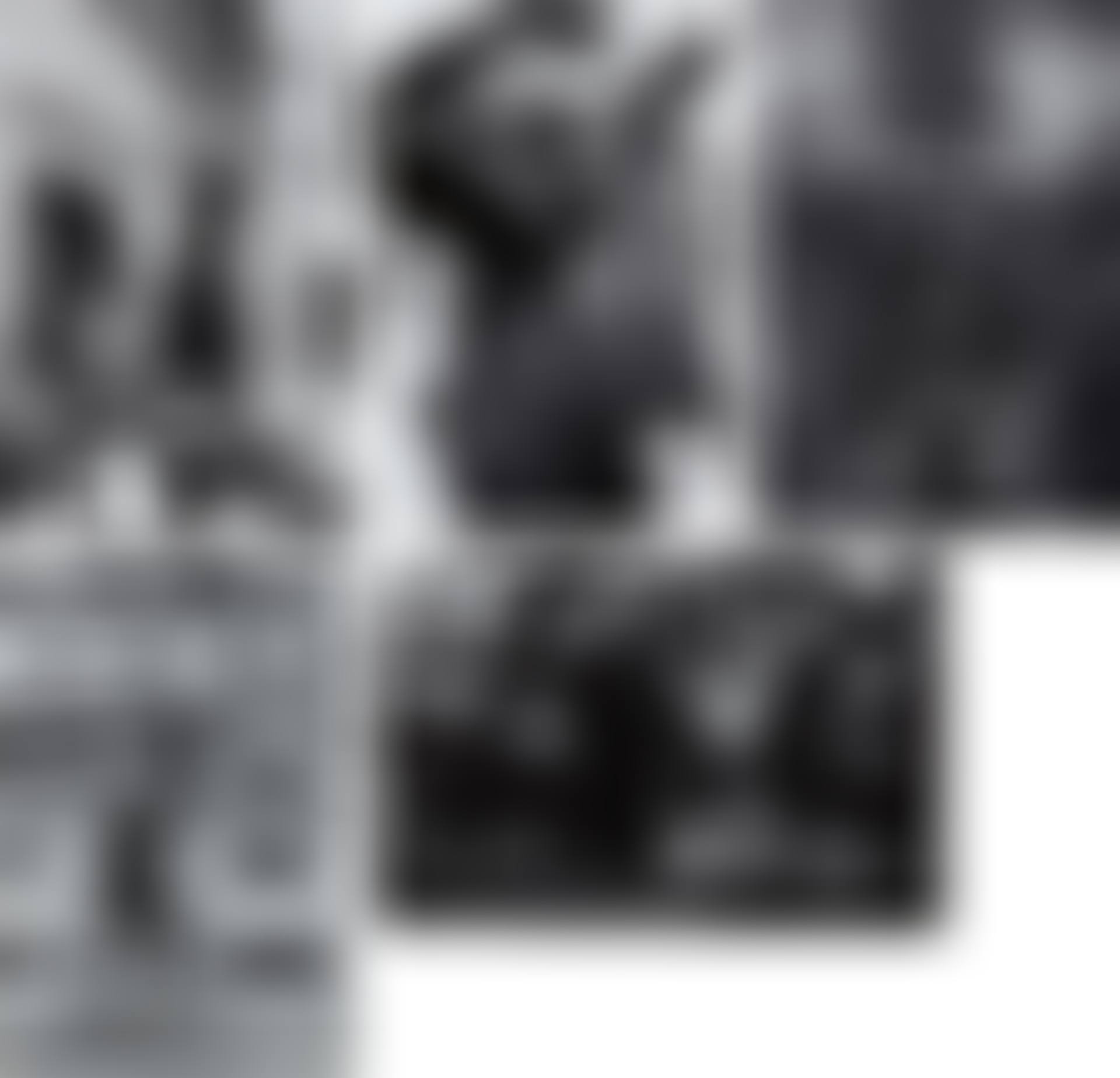 Selected images from Black in White America (preview)