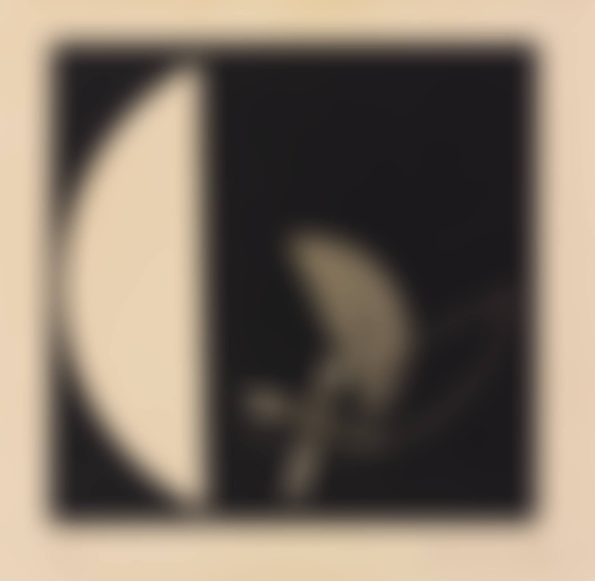 SEGMENTS OF A CIRCLE WITH CROSS (SEE PASSUTH 132) (preview)