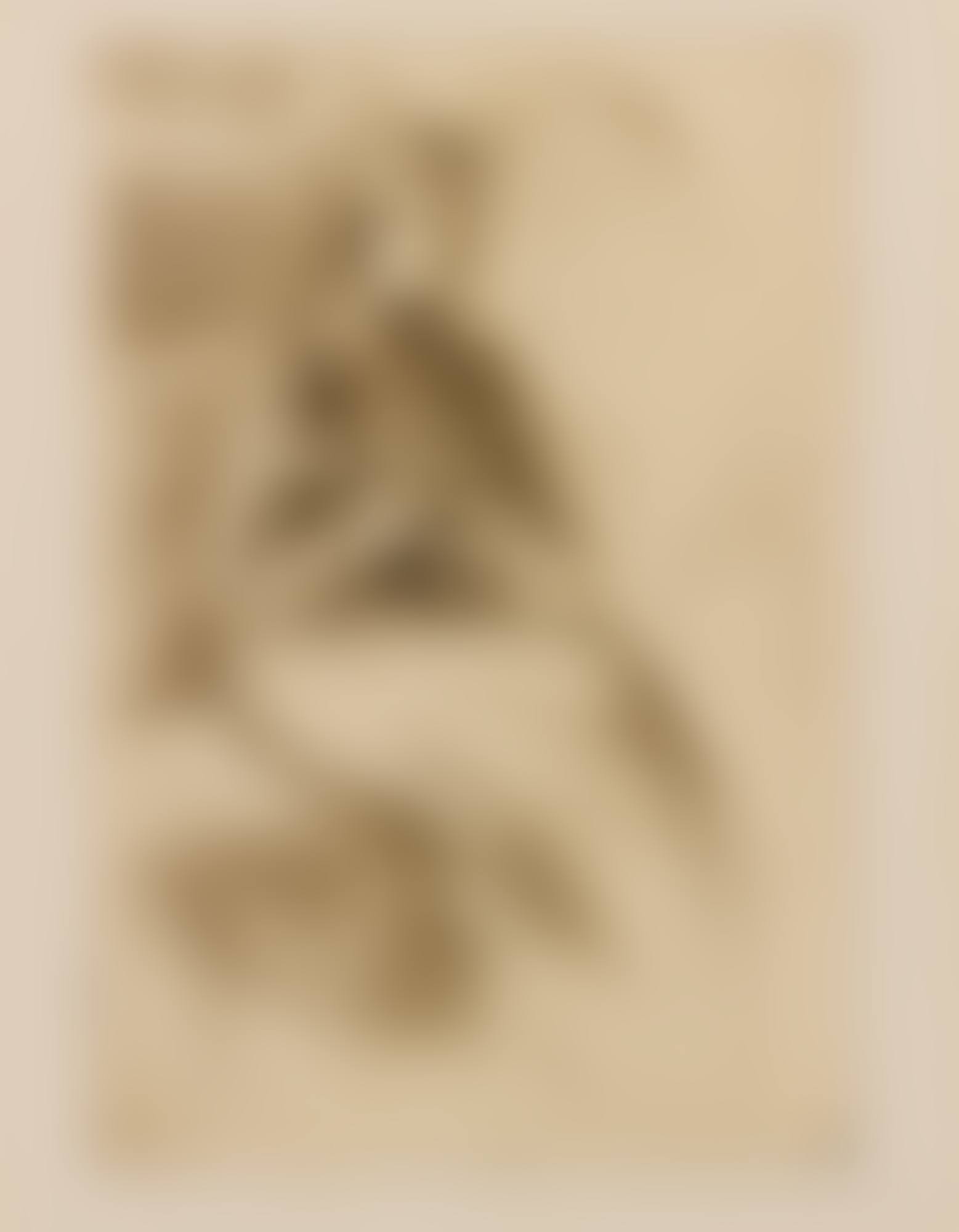 THE MANDOLIN PLAYER (BREESKIN 130) (preview)
