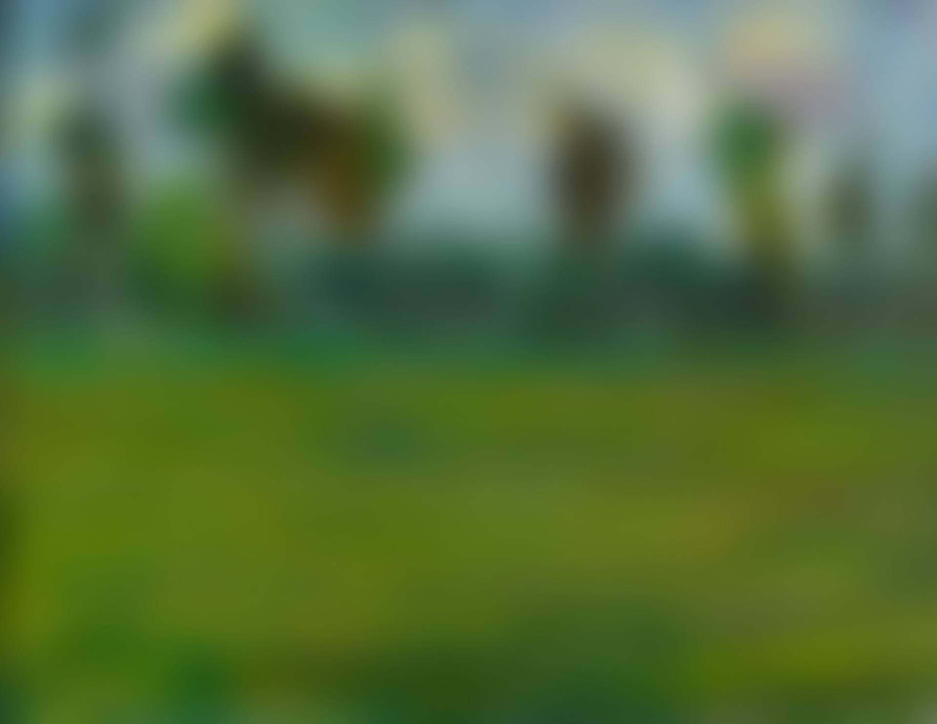 PAYSAGE (preview)