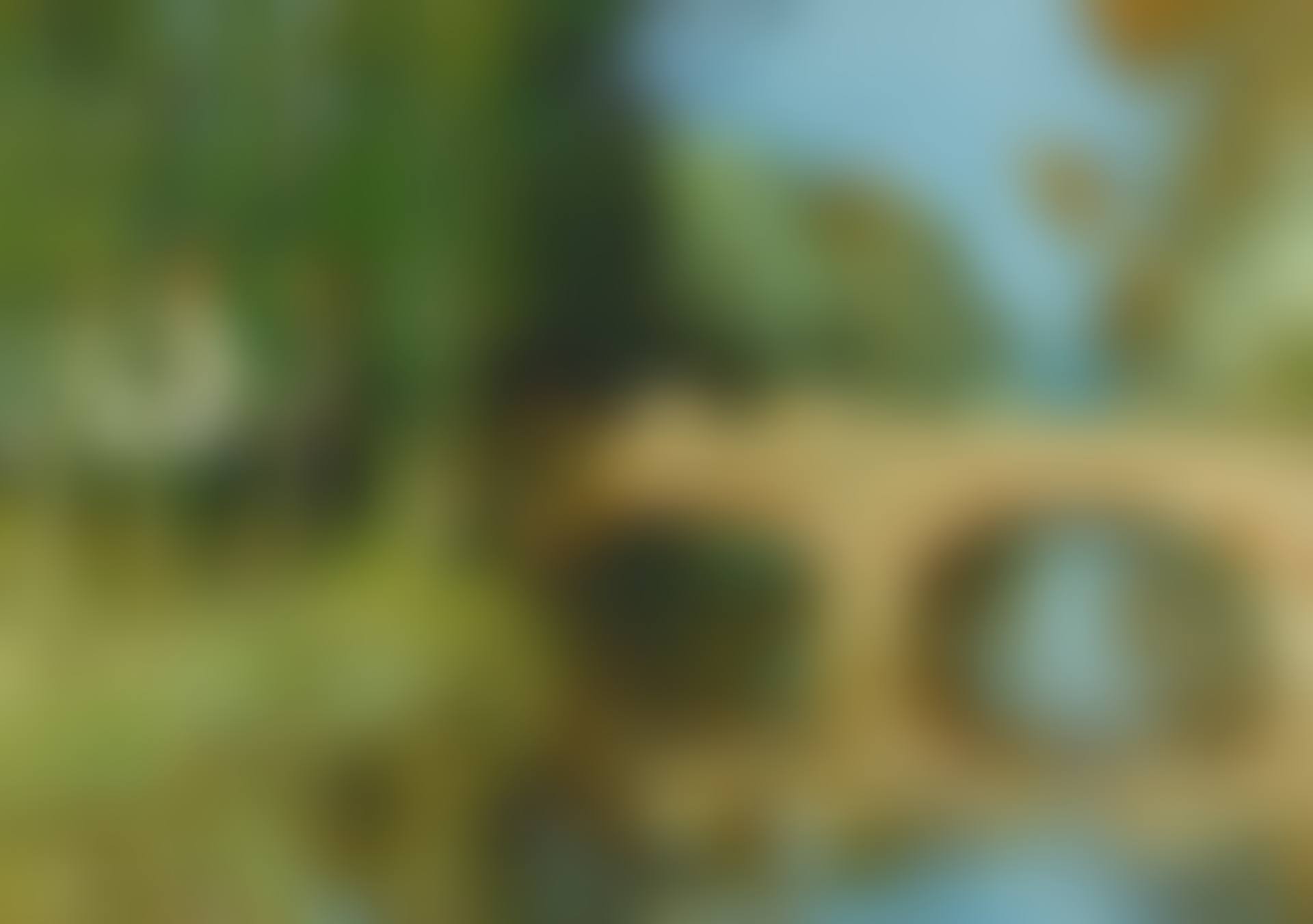 LE PONT SUR LA RIVIÈRE (preview)