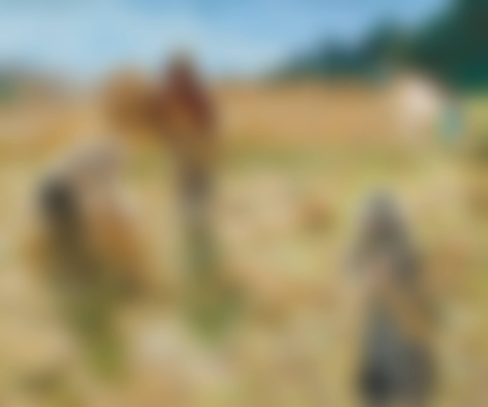 LES FENAISONS (preview)