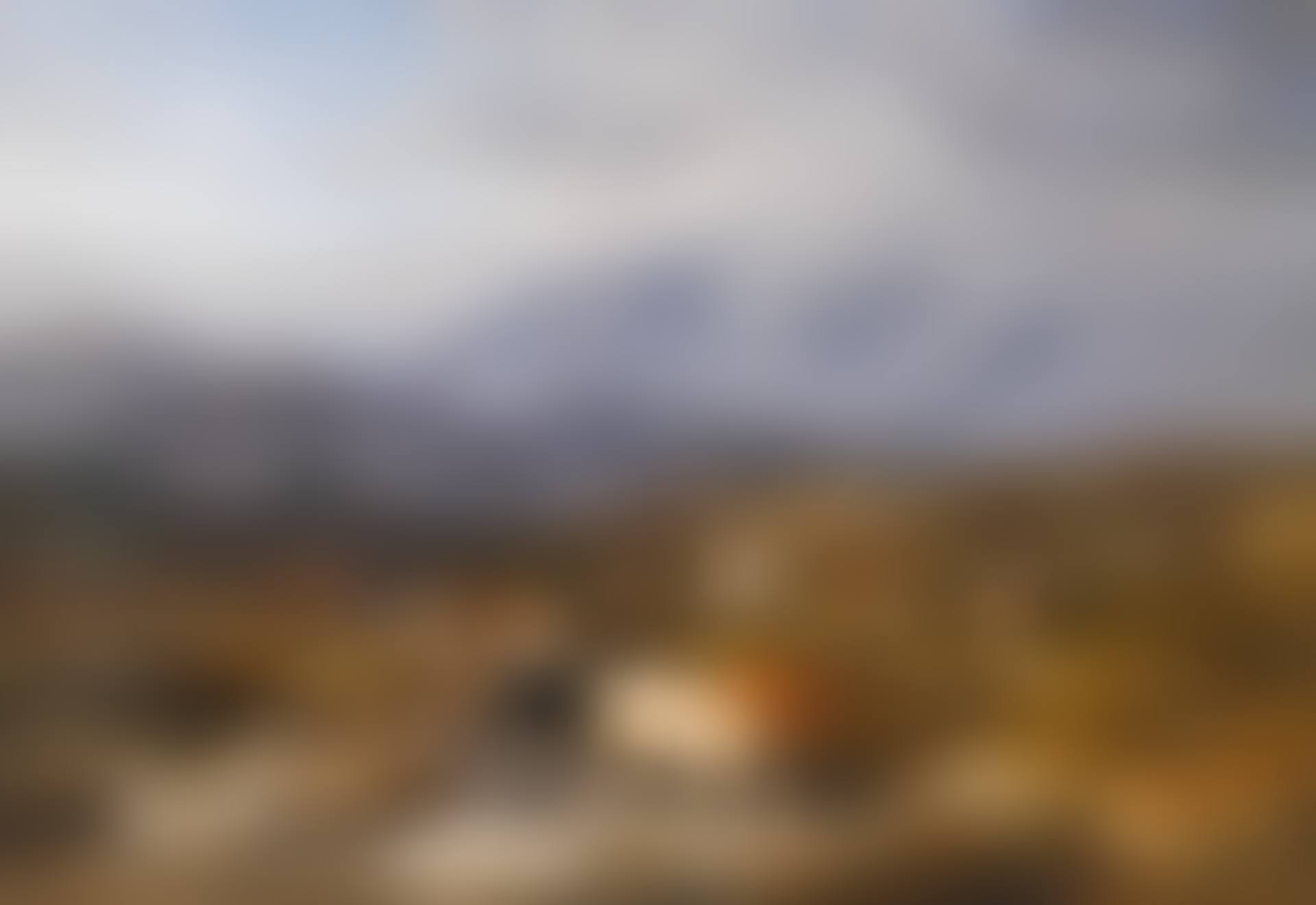 AN INTERCEPTED RAID, ETTRICK SHEPHERD (preview)
