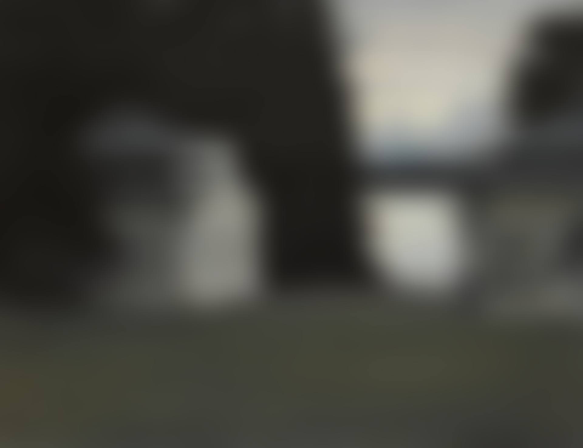 THE EREMITAGE PAVILIONS IN THE ROYAL GARDENS AT FREDENSBORG (preview)