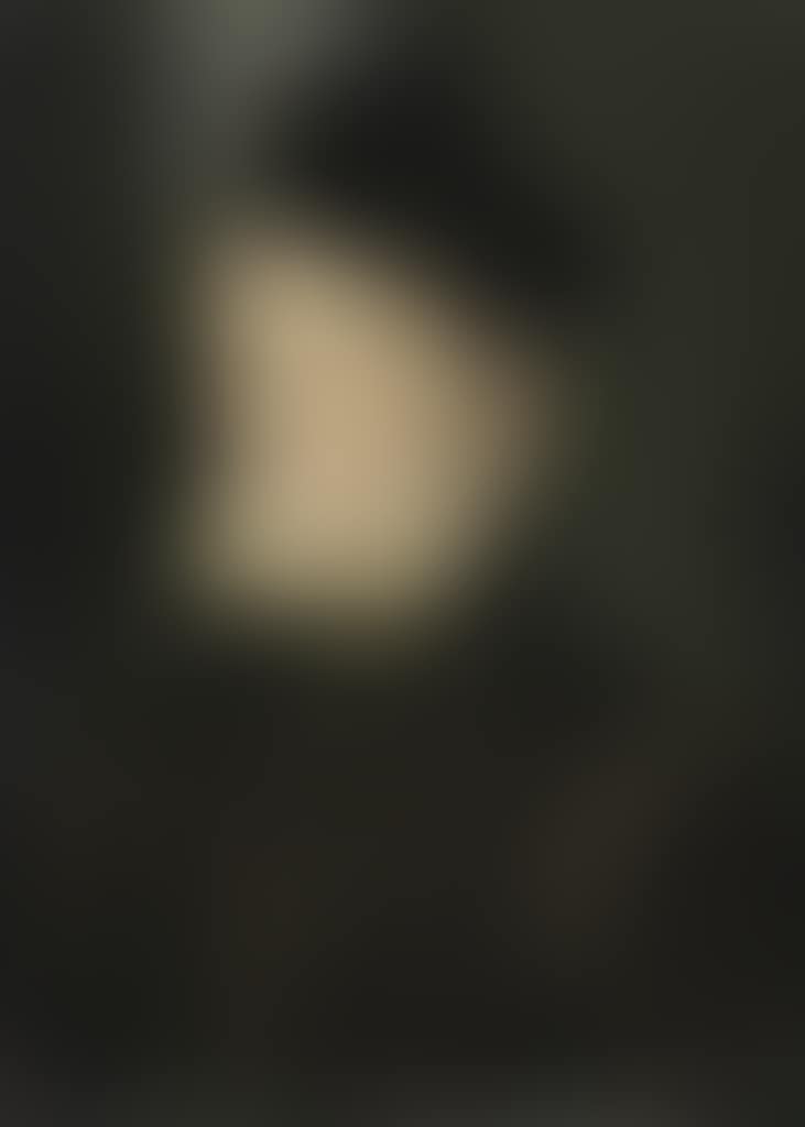 Portrait of King Charles IX of France (1550-1574) (preview)