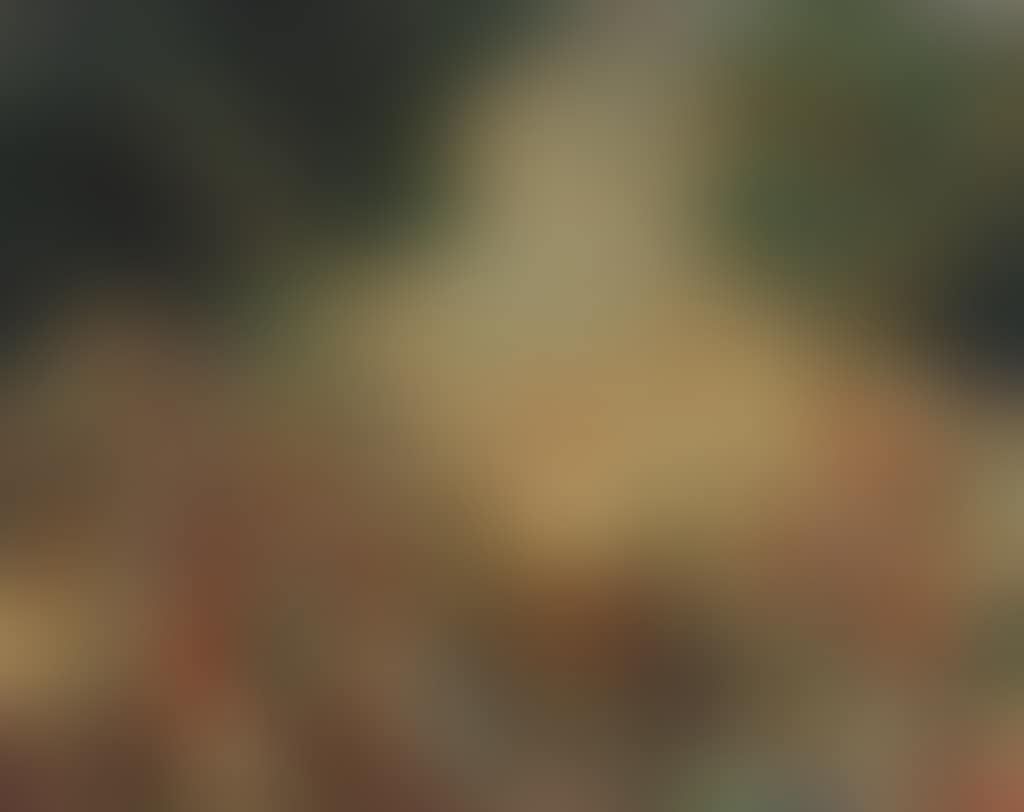 Arlequinade (preview)