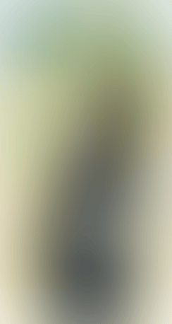 Assistant III (preview)