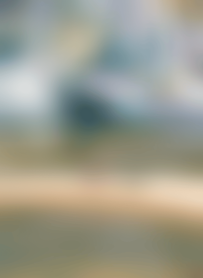 Sandbar with Figure and Dog (preview)