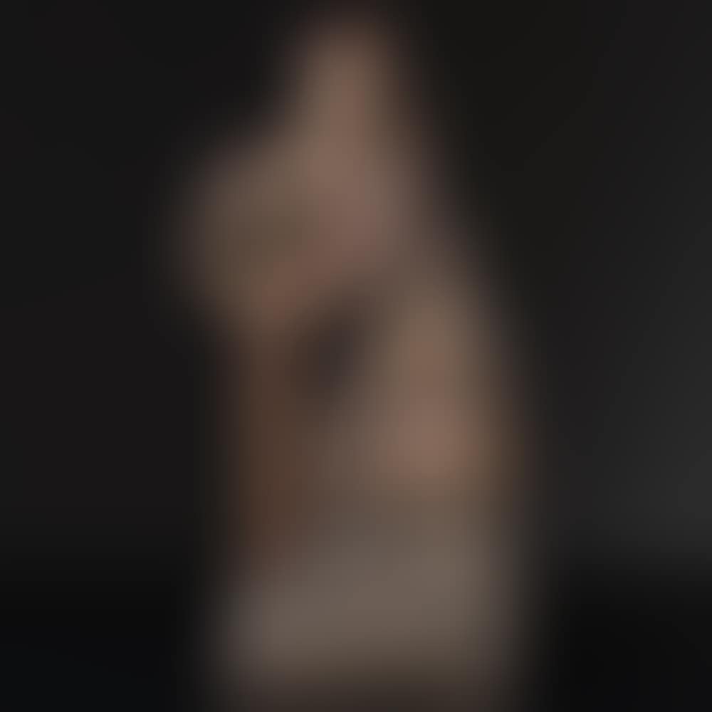 Character Standing, he presents a twisted crown in his hands; wearing a cap with a long fall coming back to the front, he is dressed in a long dress and a slit tunic tightened by a belt to which a chaplain and a dagger are attached (preview)