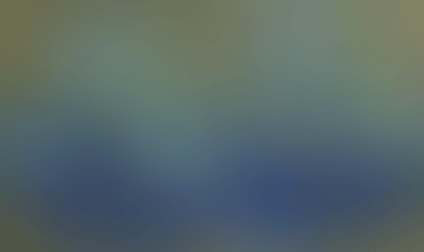 NYMPHÉAS (DIPTYCH) (preview)