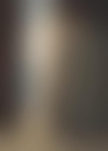 LA FEMME AU MIROIR (preview)