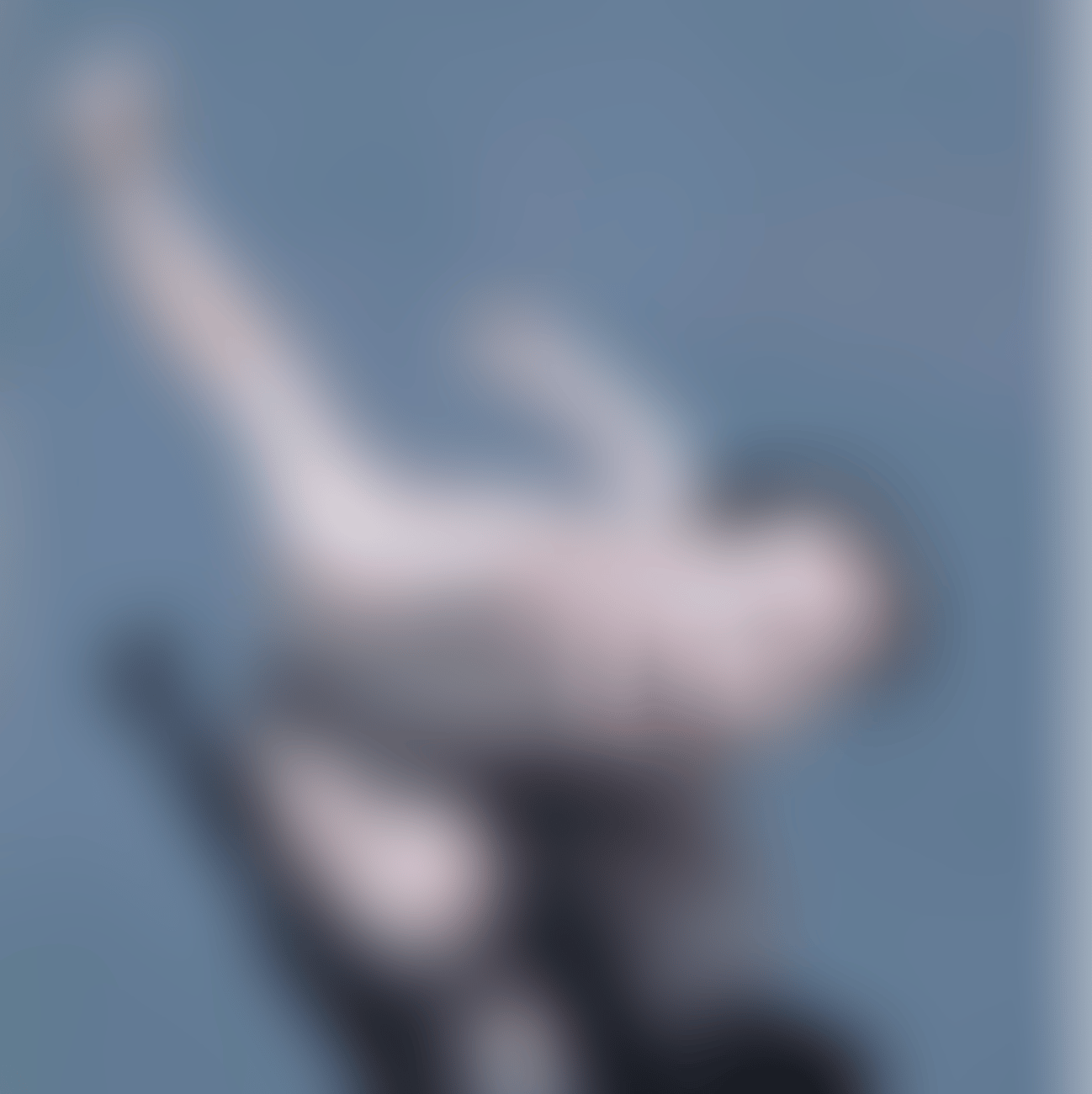 No. 5 (preview)