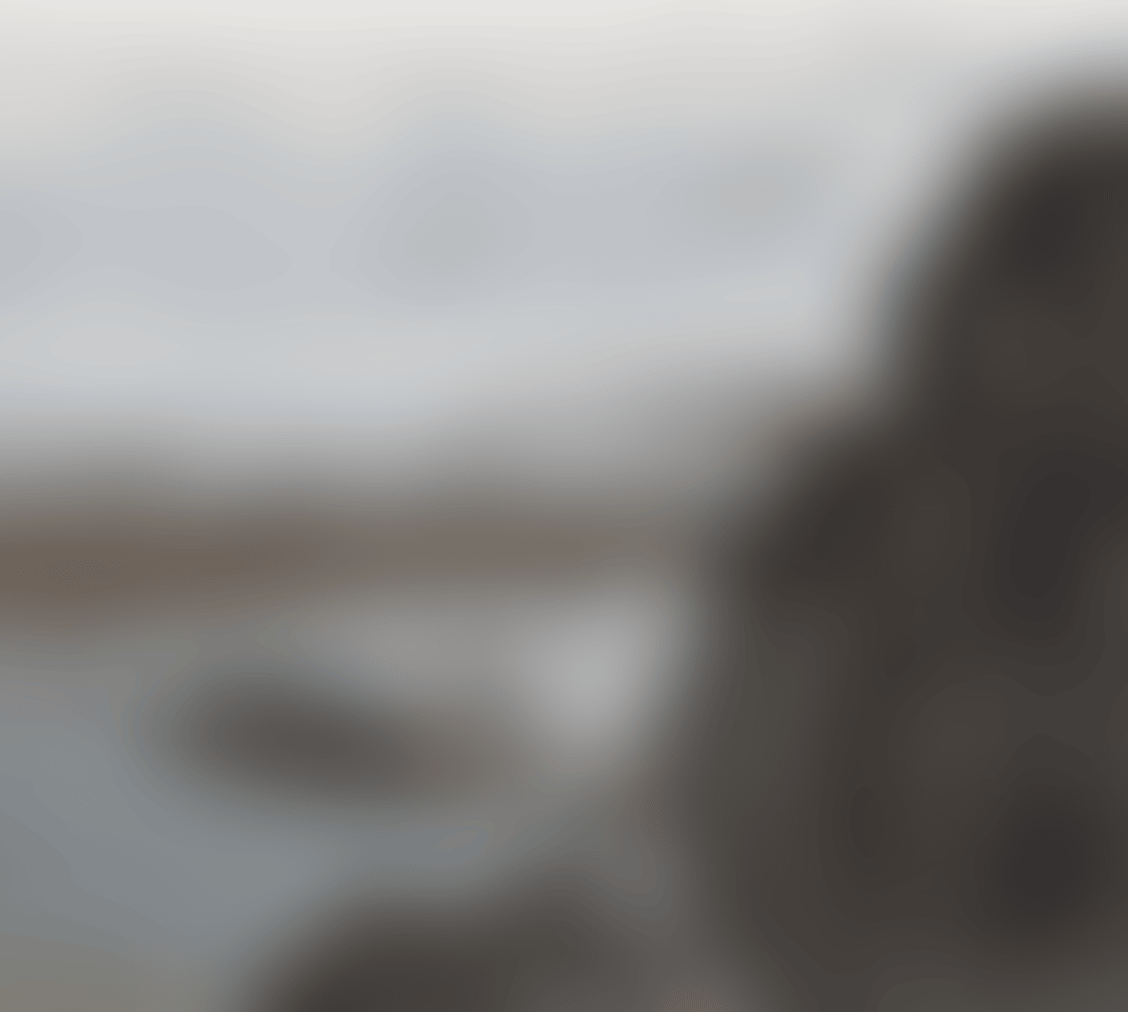SCENE NEAR SEASHORE (preview)