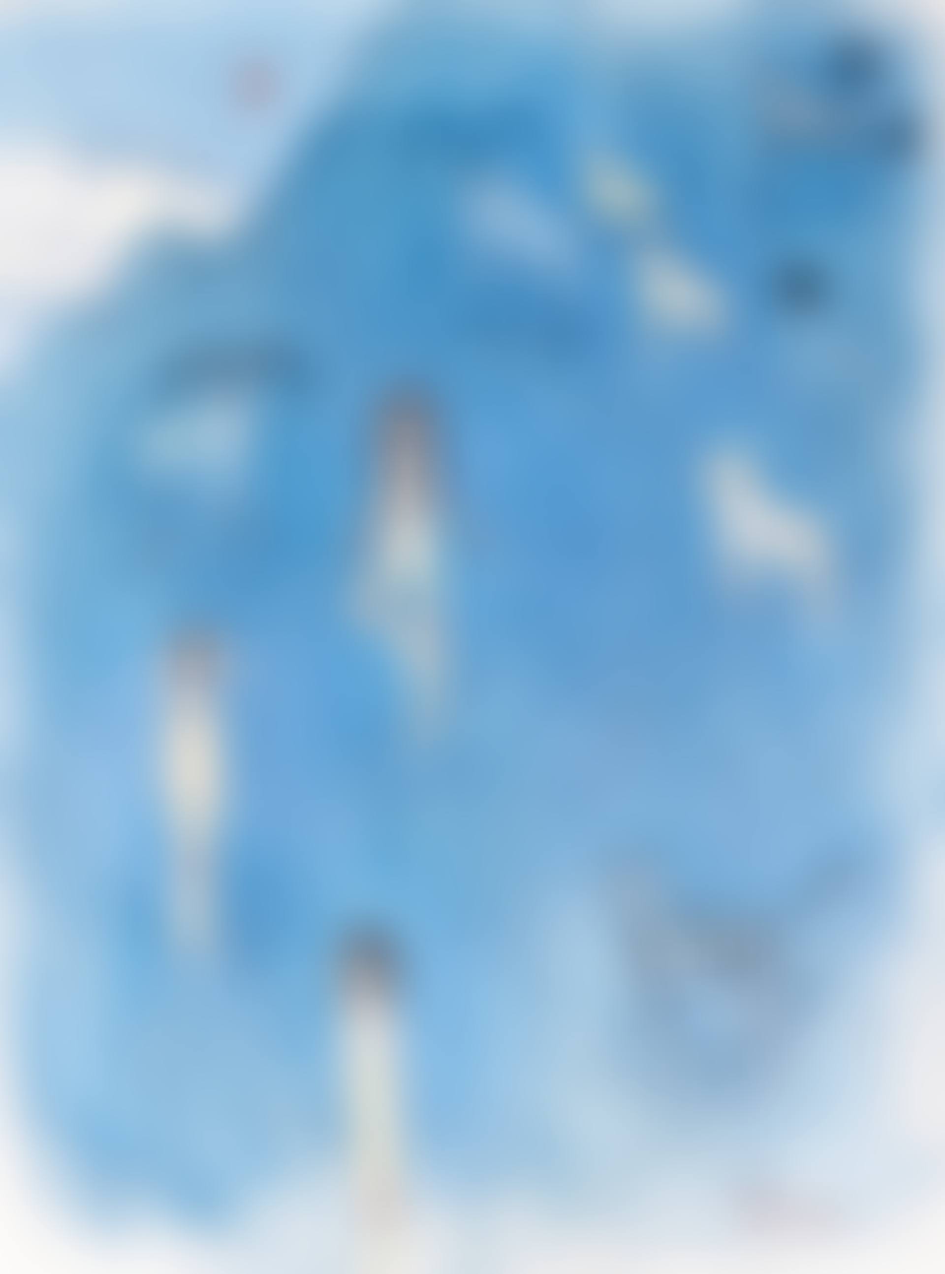 Himalayas, blue sheep, snow, tiger, wolf, people who live there (preview)