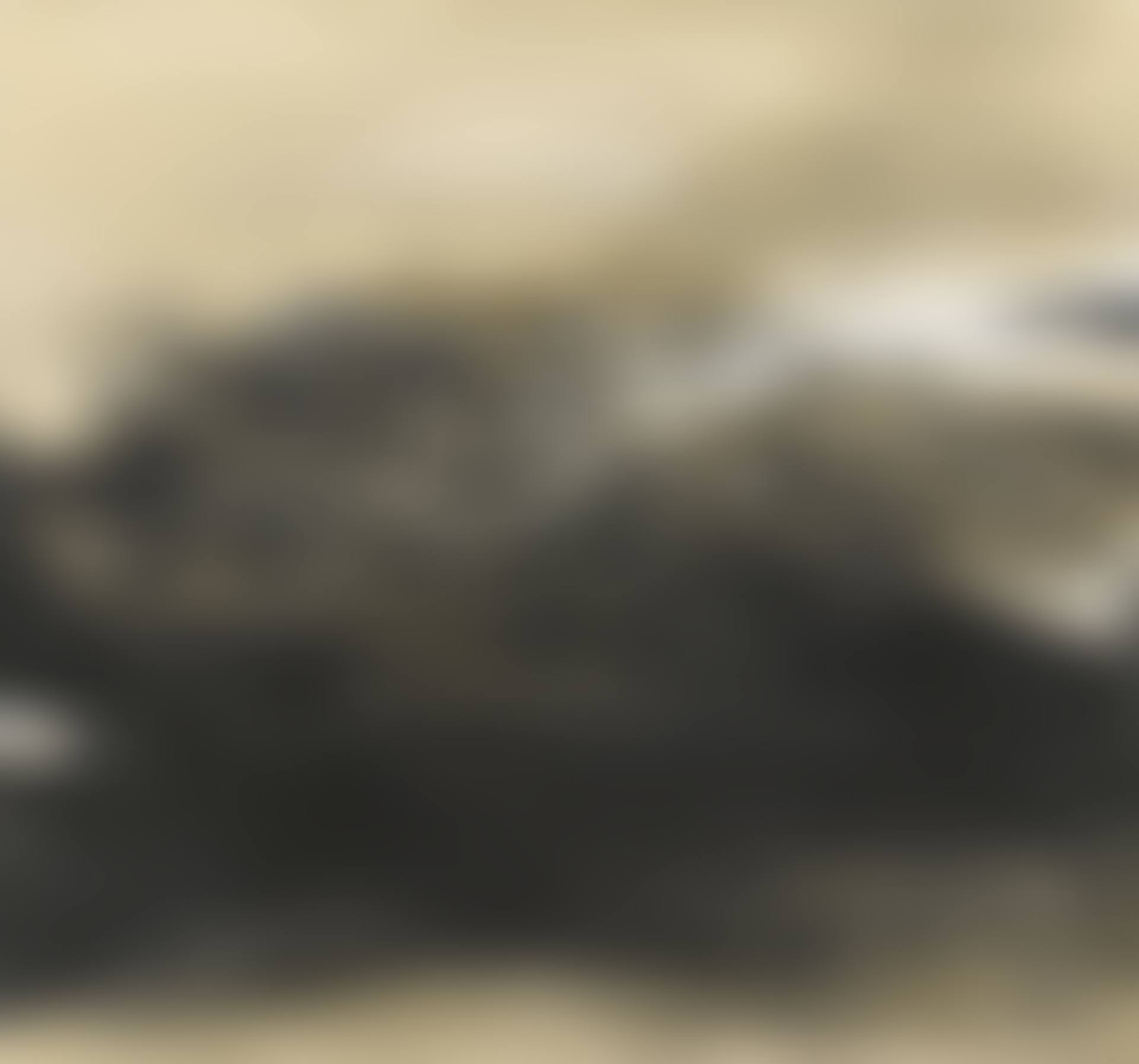 08.03.66 (preview)