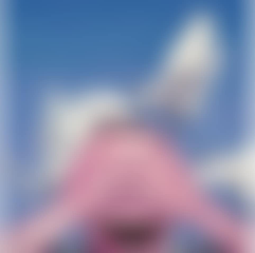 Sky-animal-humain being (preview)
