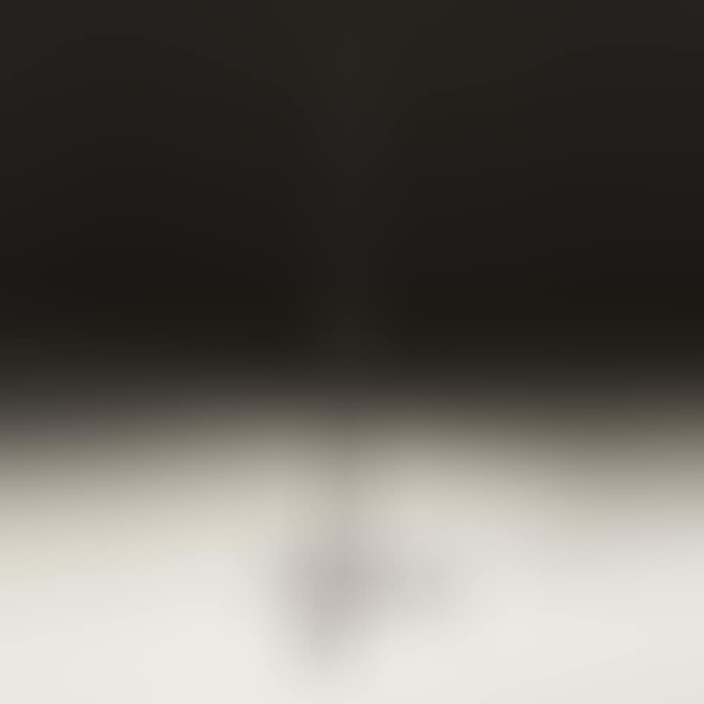 Large wrought iron candle holder, barrel with
baluster and five flat nodes, cup, base
tripod (preview)